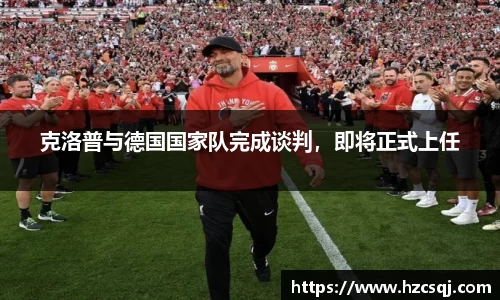 芒果体育官网入口